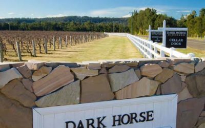 Dark Horse – Sound wines at Affordable Prices