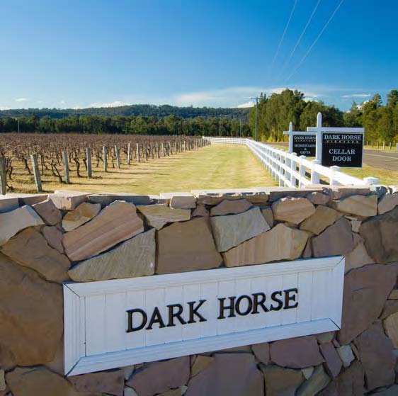 Dark Horse – Sound wines at Affordable Prices